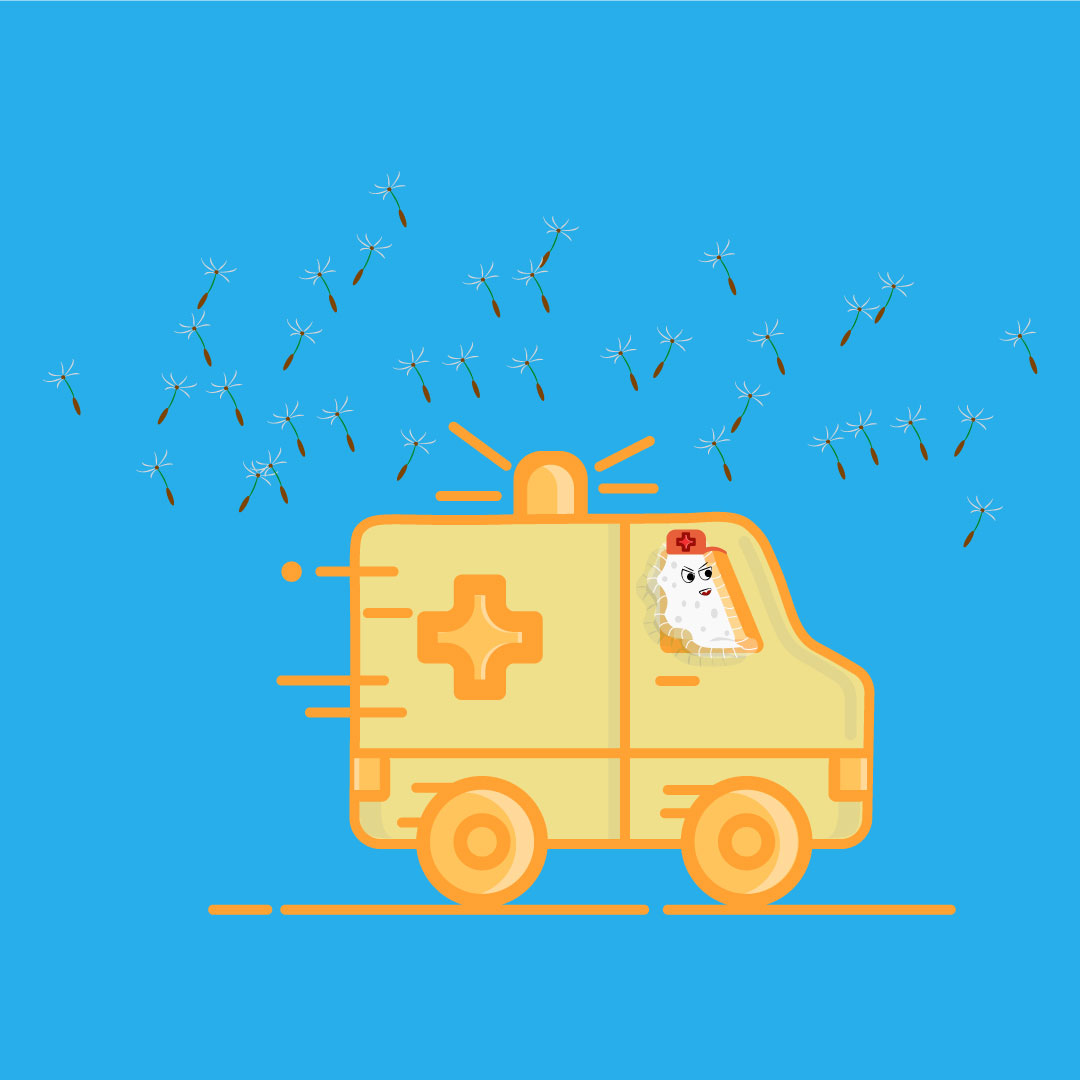 illustrazione ambulanza polline anticorpi allergia