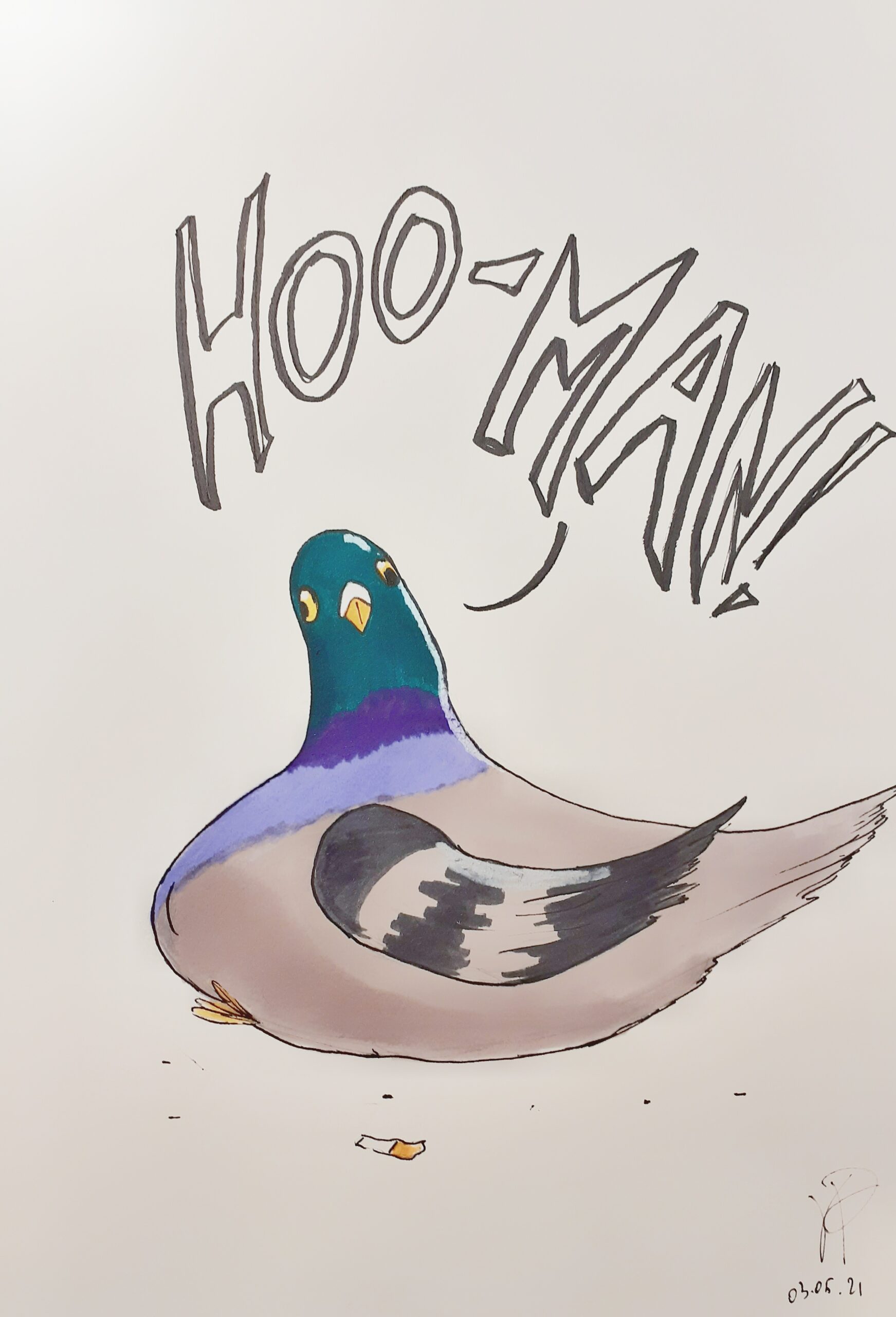 piccione disegno con colori verde viola e grigio